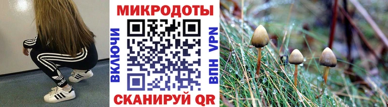 Псилоцибиновые грибы GOLDEN TEACHER  Серафимович 